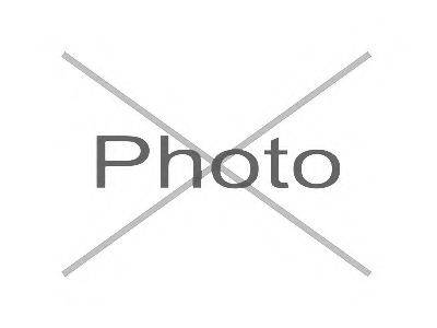 CTE CBJ03022L Несучий / напрямний шарнір